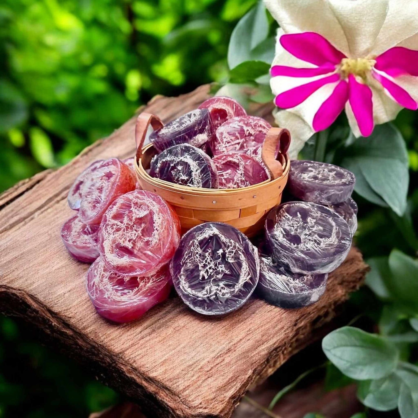 Savon "Luffa pur"