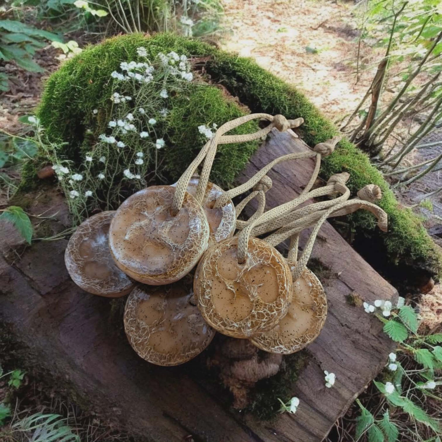 Luffa Coco Crémeux