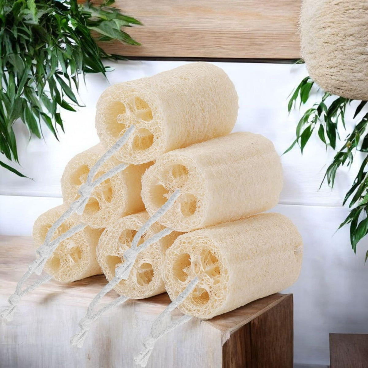 Fleur de Luffa