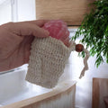 Graine de sisal